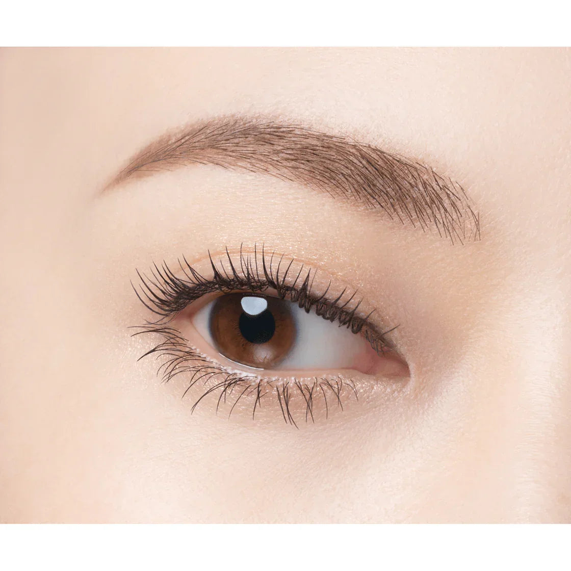 Kose - Fasio Long Lasting Curl & Waterproof Mascara - Black - JJ Cosmetics